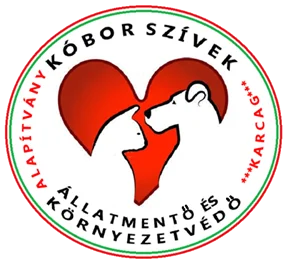 Kóbor Szívek